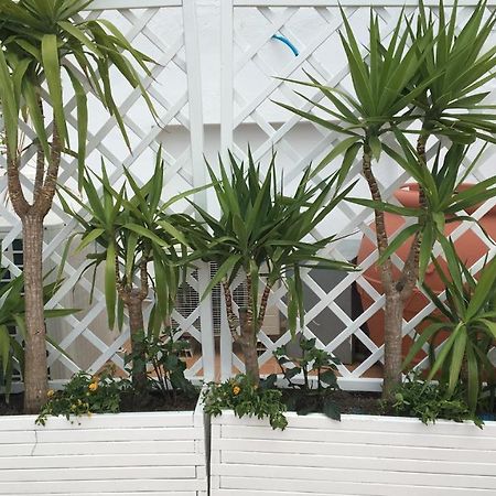 Apartament Panorama Da Cartolina Ischia Zewnętrze zdjęcie