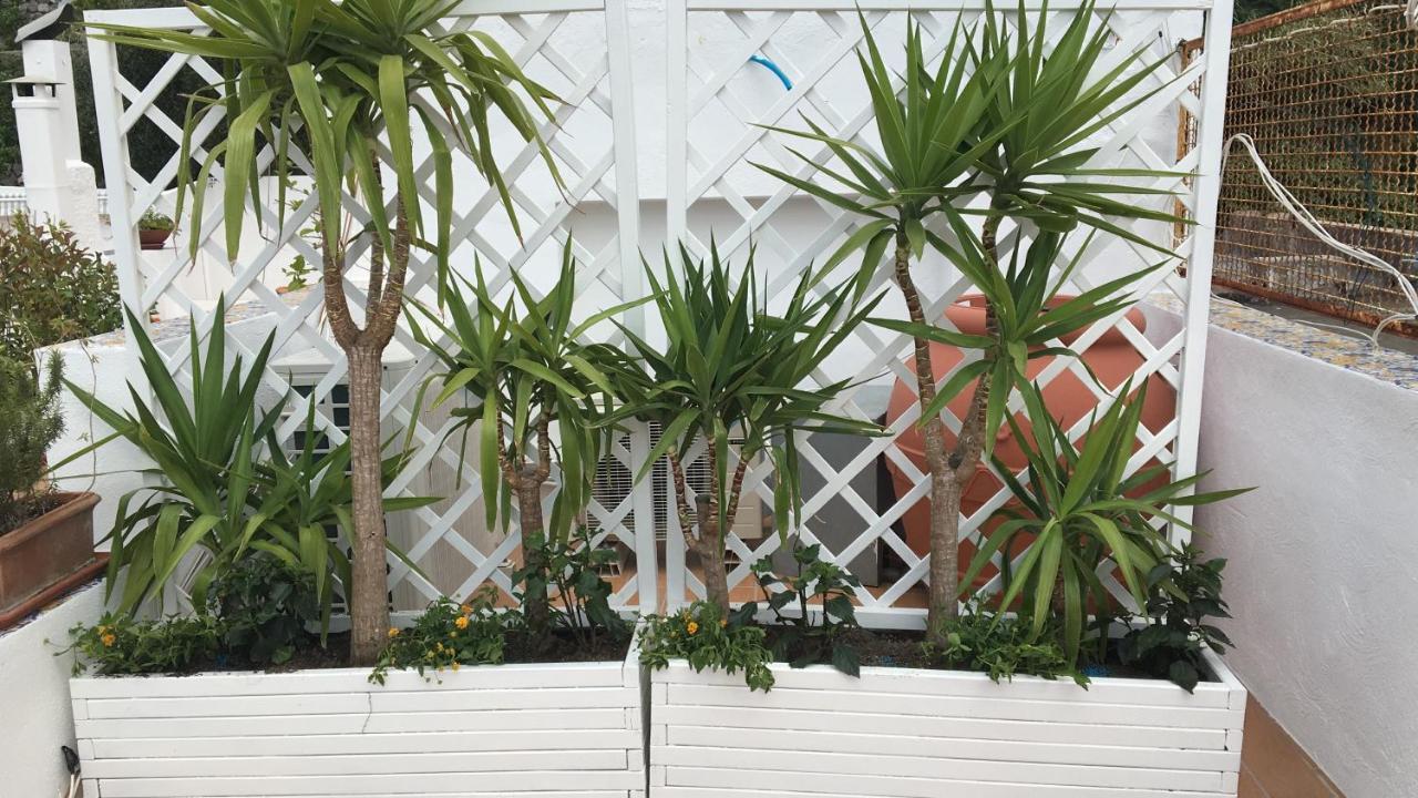 Apartament Panorama Da Cartolina Ischia Zewnętrze zdjęcie